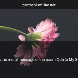 Socks sock ode poems seek sh poemsearcher find so