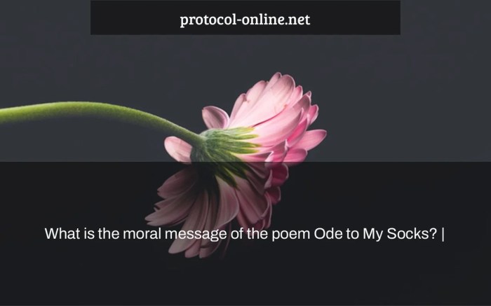 Socks sock ode poems seek sh poemsearcher find so