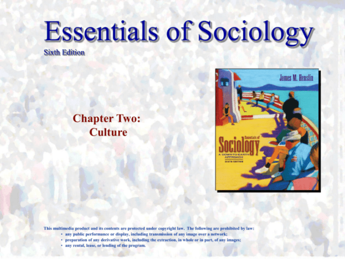 Essentials of sociology 9th edition