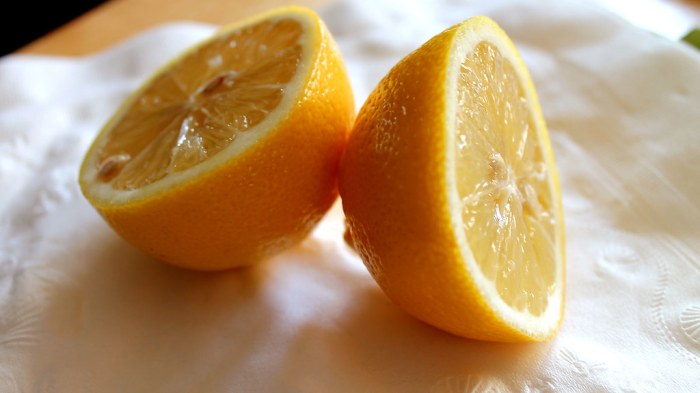 Twist of lemons eor study guide