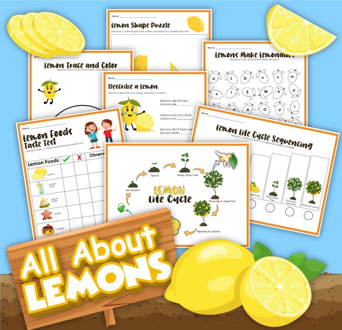 Twist of lemons eor study guide