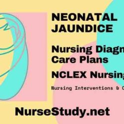 Nursing care plan jaundice newborn