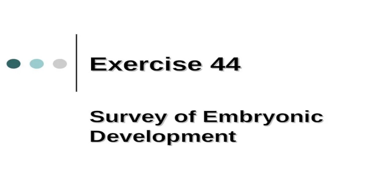 Exercise 44 survey of embryonic development