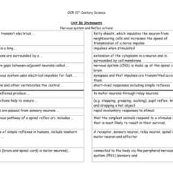 Inquiry activity neuron communication and signal transmission answer key