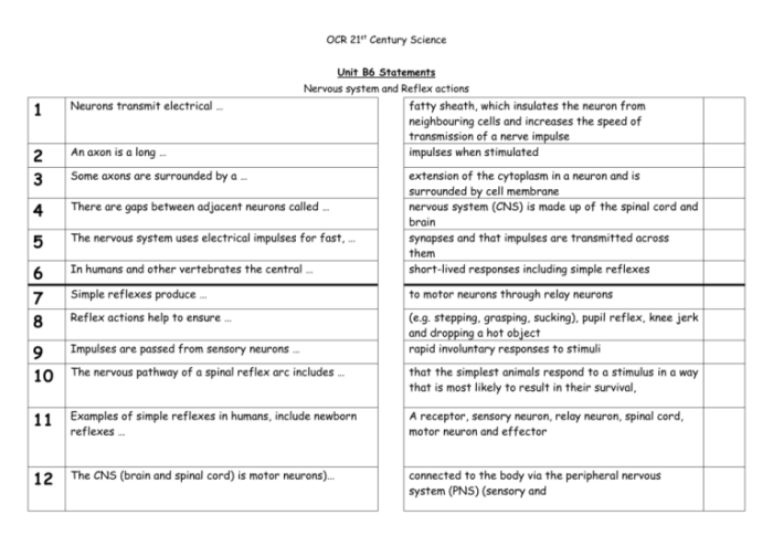 Inquiry activity neuron communication and signal transmission answer key