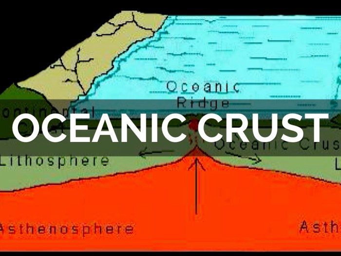 Which geologic feature is composed of the youngest crustal bedrock