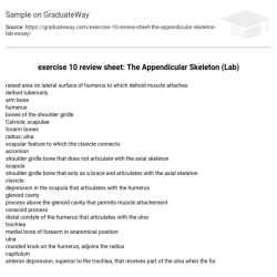 Exercise 10 the appendicular skeleton review sheet