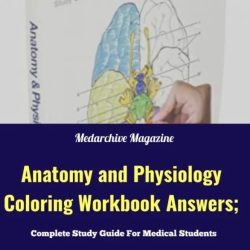 Anatomy and physiology coloring workbook answer key