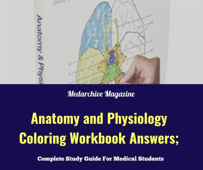 Anatomy and physiology coloring workbook answer key