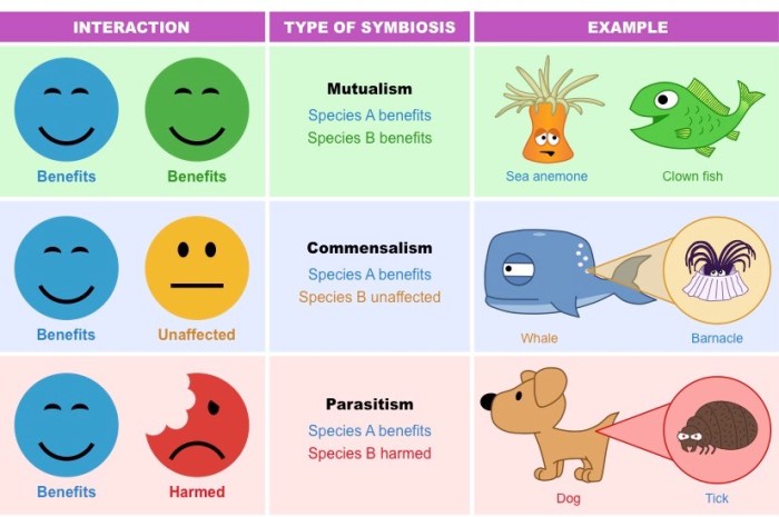 Organism interaction and relationships webquest